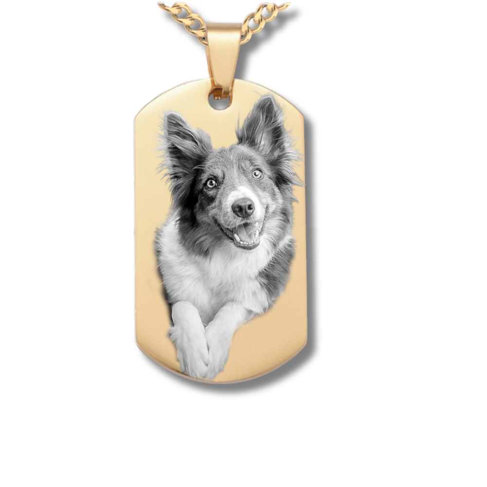 Kleine Dog Tag Halskette mit Bildgravur aus Edelstahl in Gold
